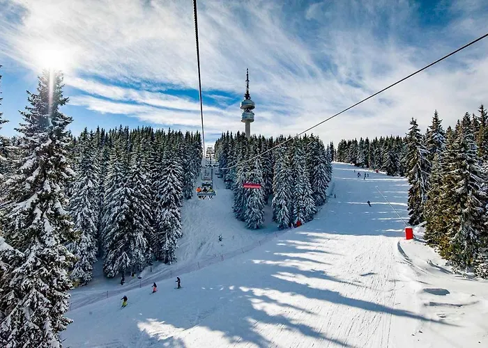 & View Pamporovo Смолян