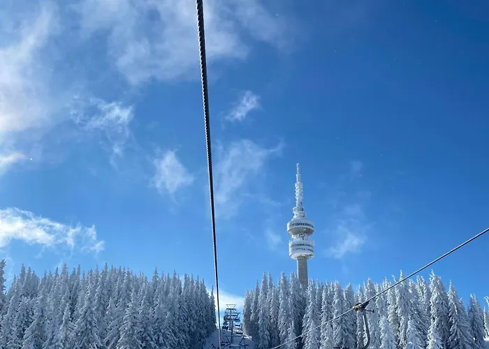 Апартаменты & View Pamporovo *